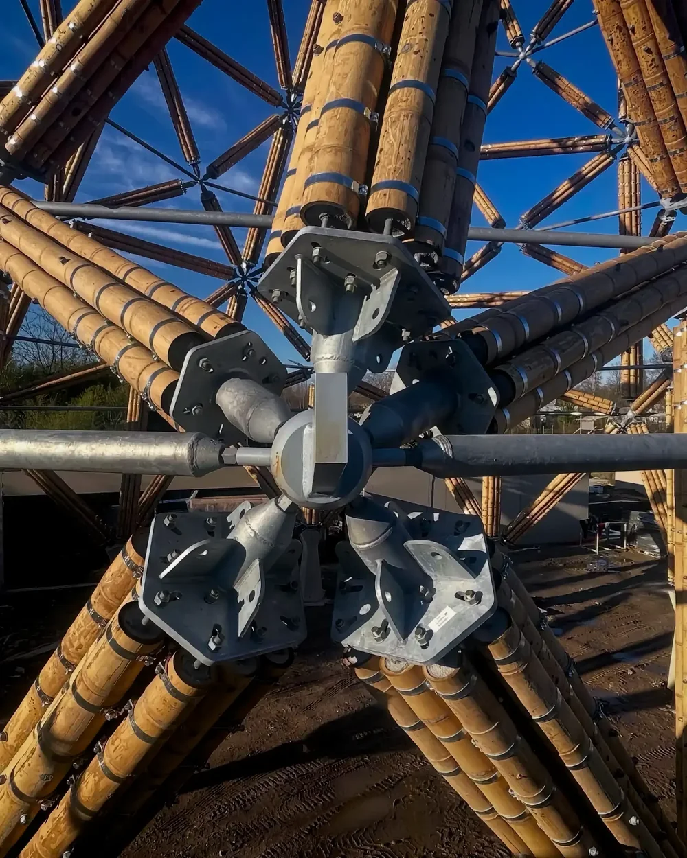 Guadua Bamboo Tower Planckendael Zoo Belgium