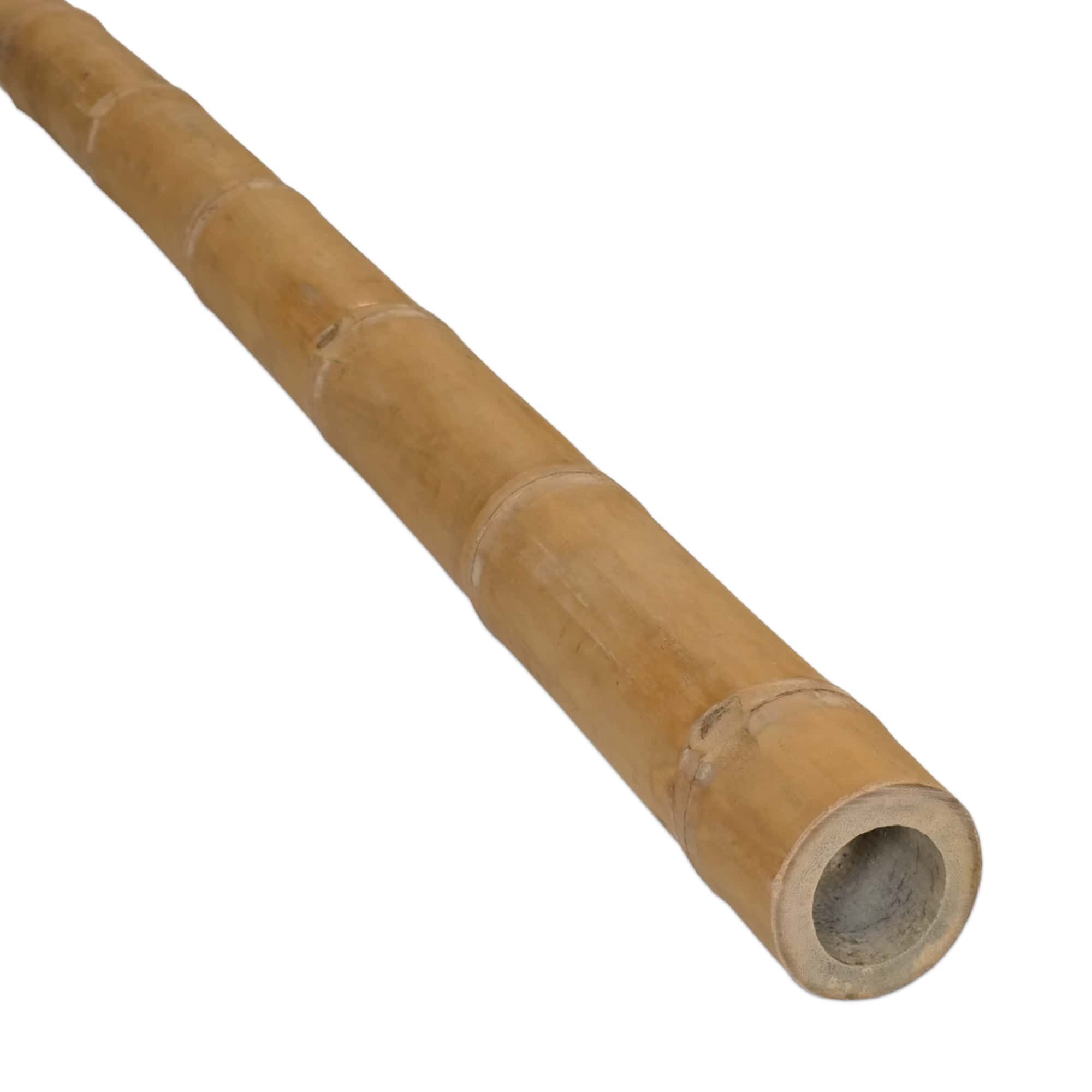 Guadua Bamboo Pole Ø 5-7 cm