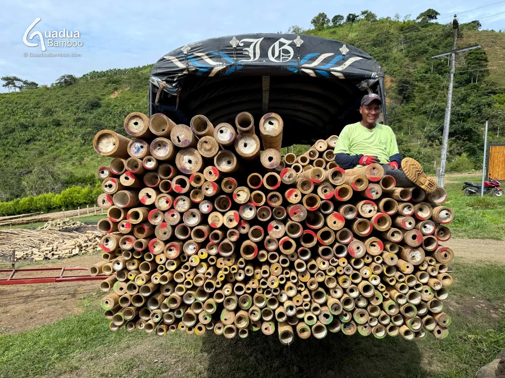 Truck loaded at Guadua Bamboo production facility in Colombia