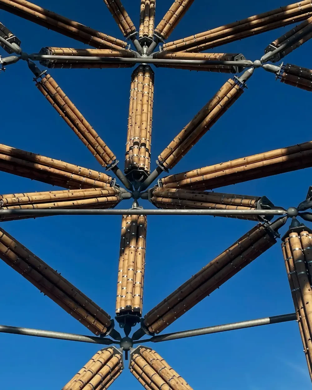 Guadua Bamboo Tower Planckendael Zoo Belgium