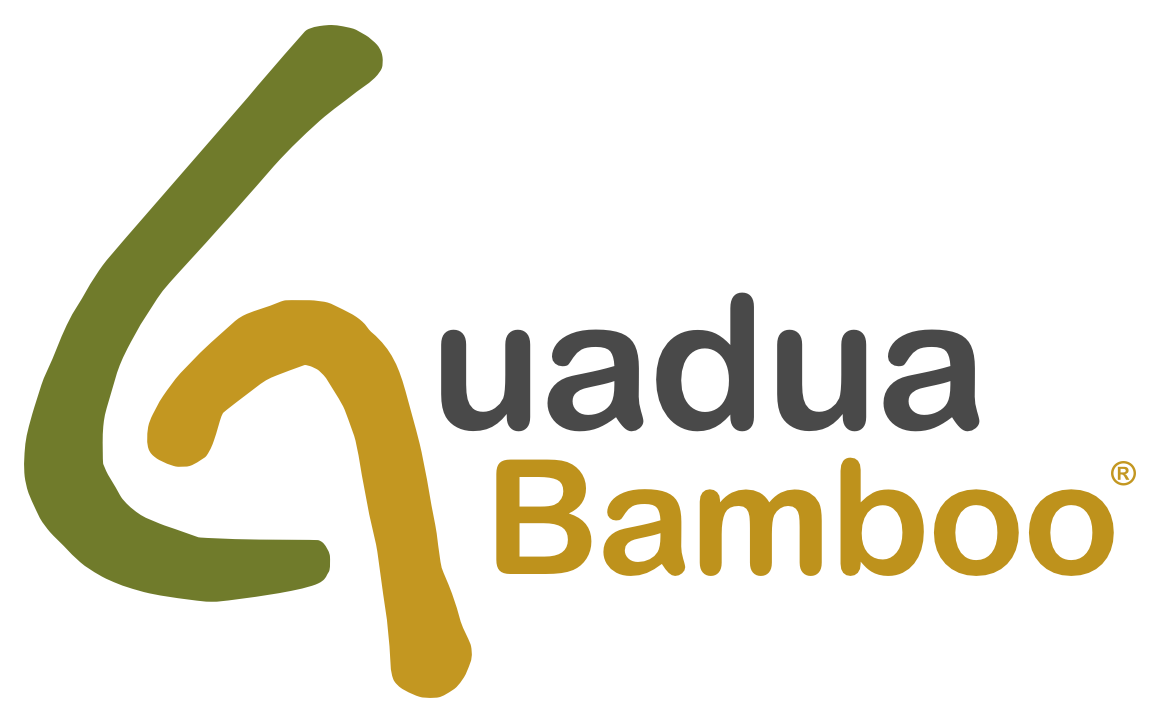 Guadua Bamboo