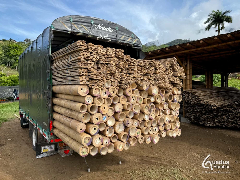 Truck loaded at Guadua Bamboo production facility in Colombia