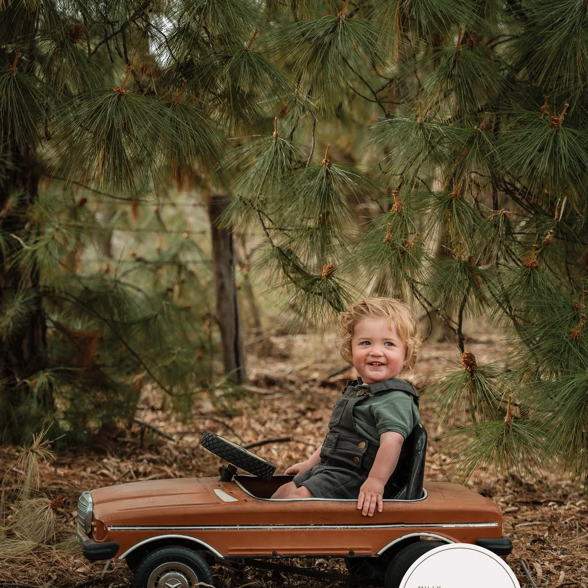 Busy little bee over here (fitting, since we learnt about bees at school today 😉). Here&rsquo;s one of my sweet weekend sessions. I just adore this little car! It was a special gift from family when we visited Cooma a few years back. If you&rsquo;d 