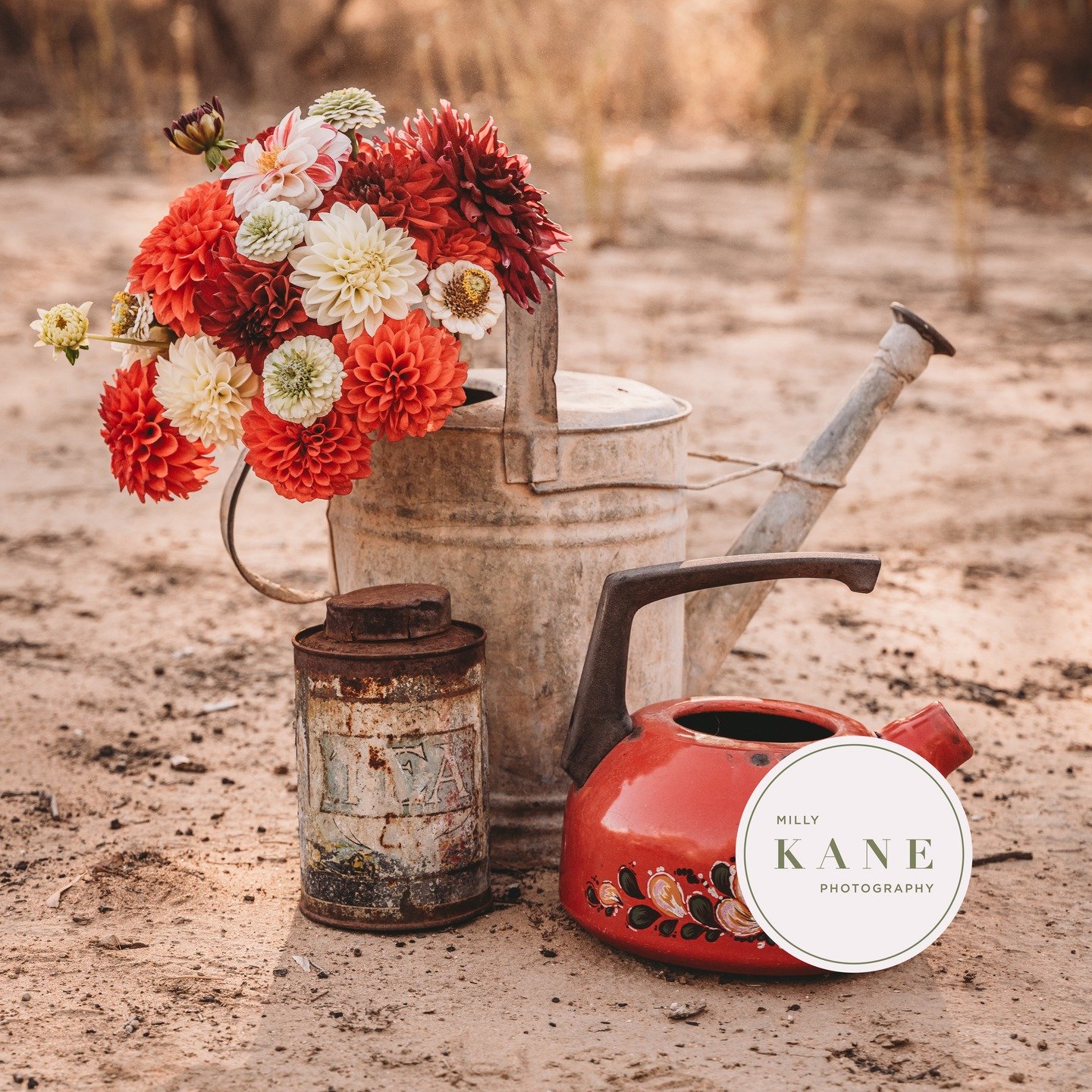 The Booking Book is about to rest.

Our pages are filling fast, and our diary will be closing from next weekend as we wrap up the year&rsquo;s final chapters. A few sessions remain before Christmas &mdash; just enough to capture a sprinkle of festive