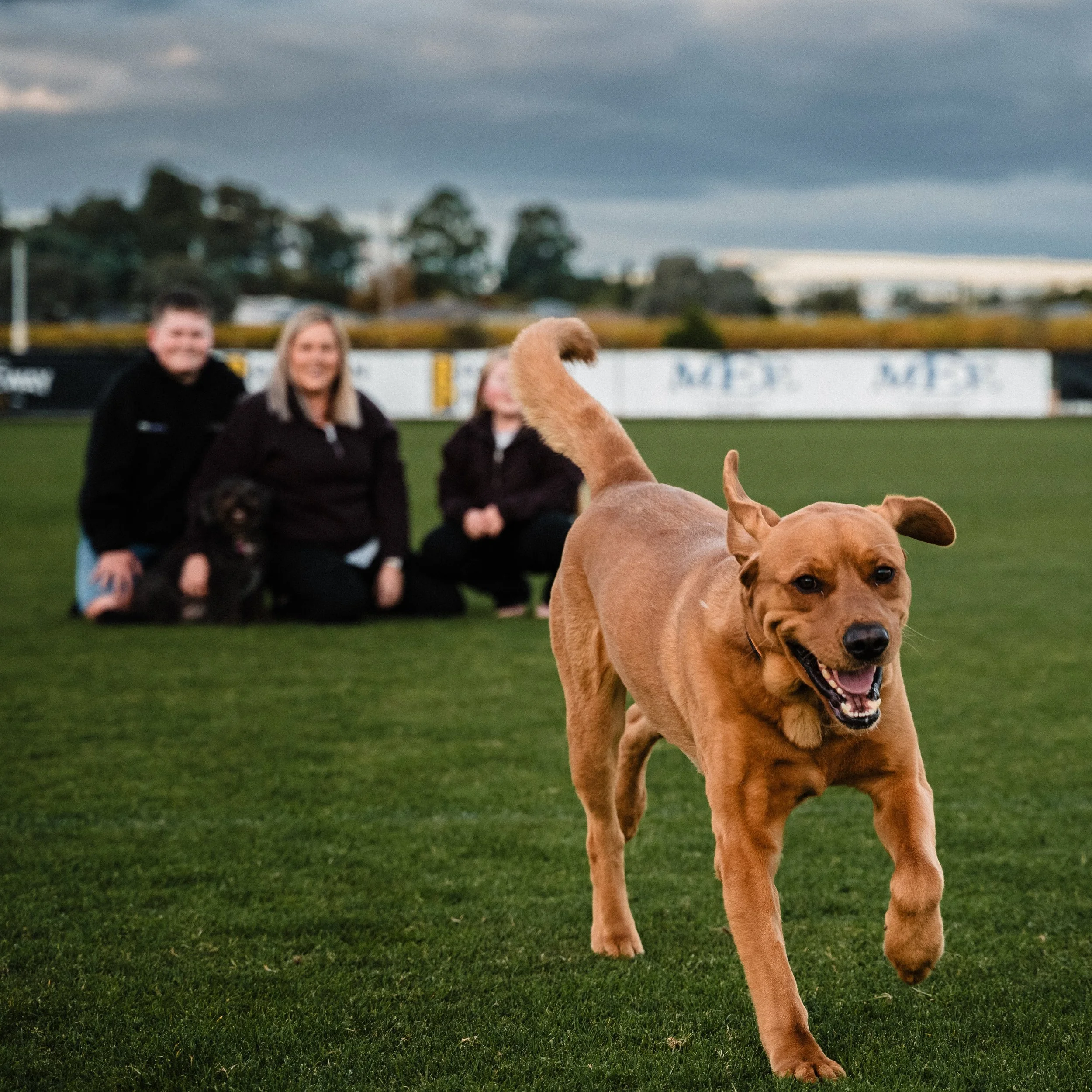 A special session for Alfie, the man of the night.

@thetillyproject