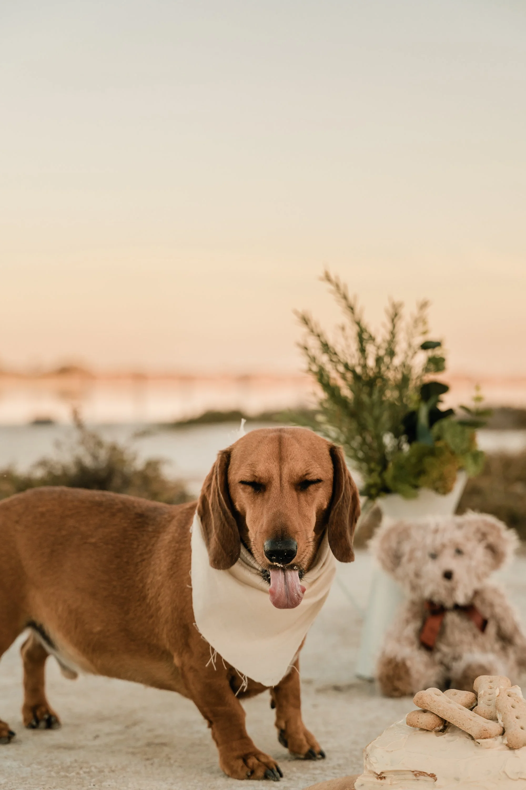 Milly Kane Photography