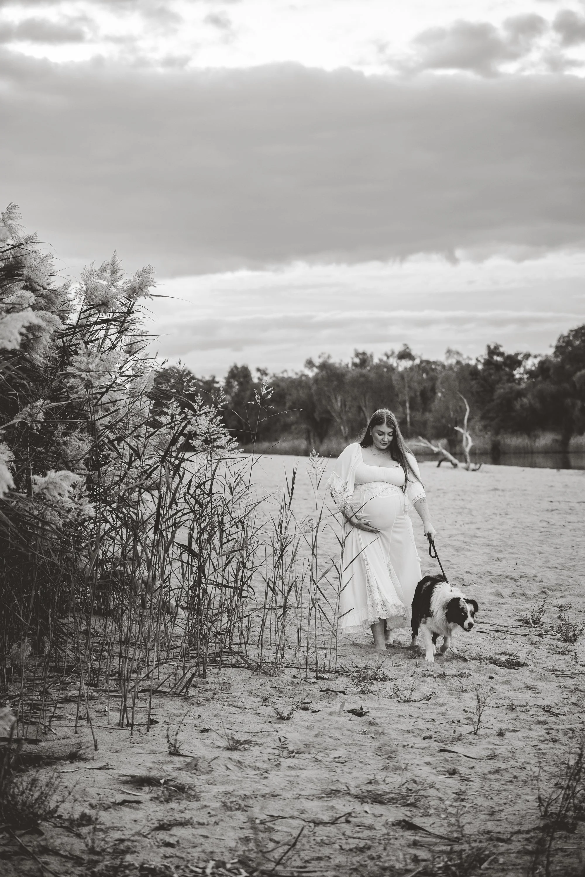 Pet Photography Mildura
