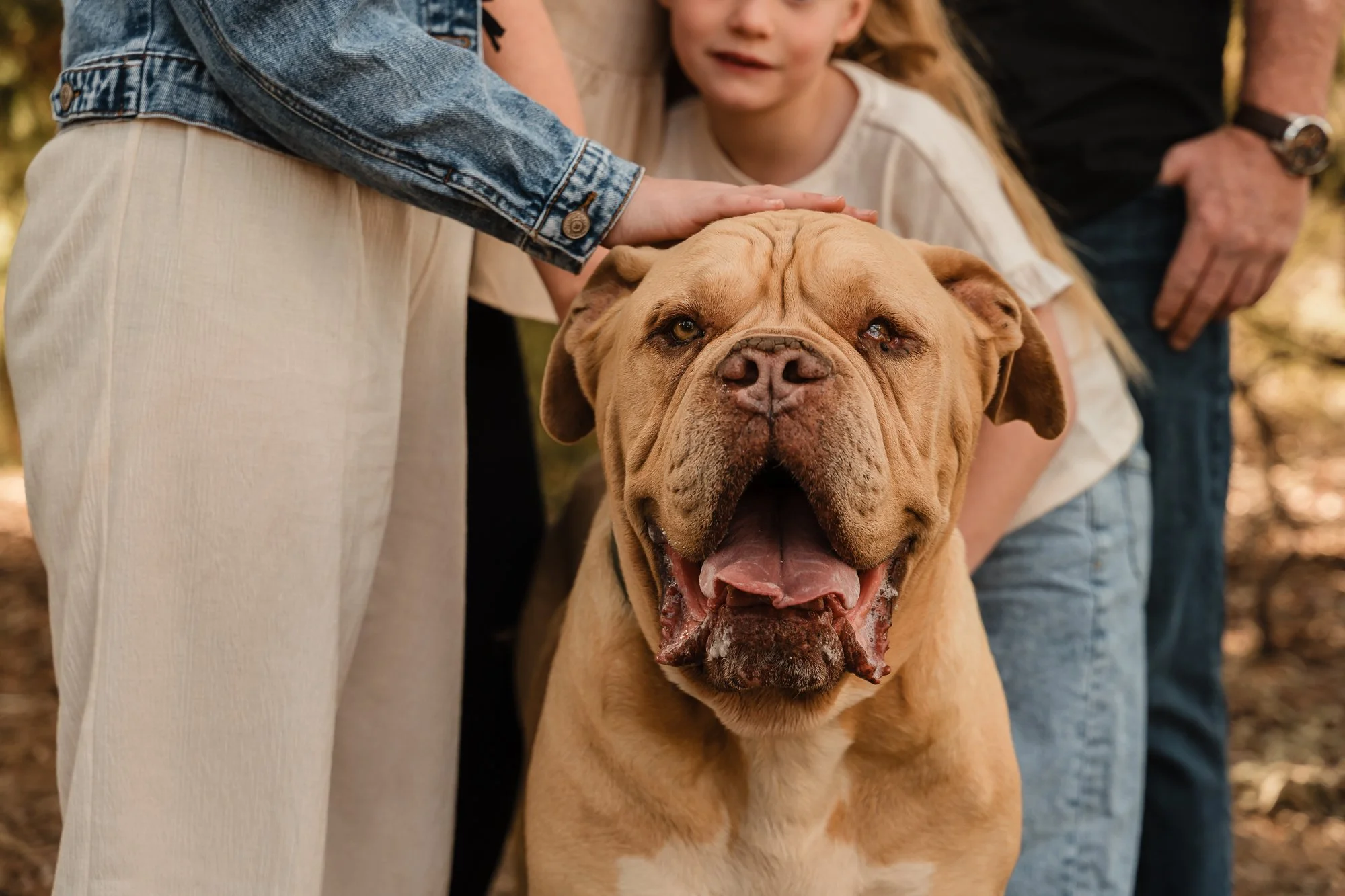 Mildura Pet photography