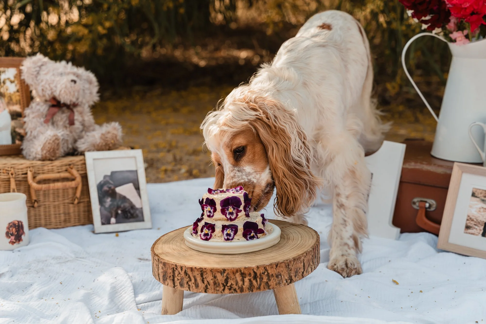 Styled Birthday Shoot Mildura
