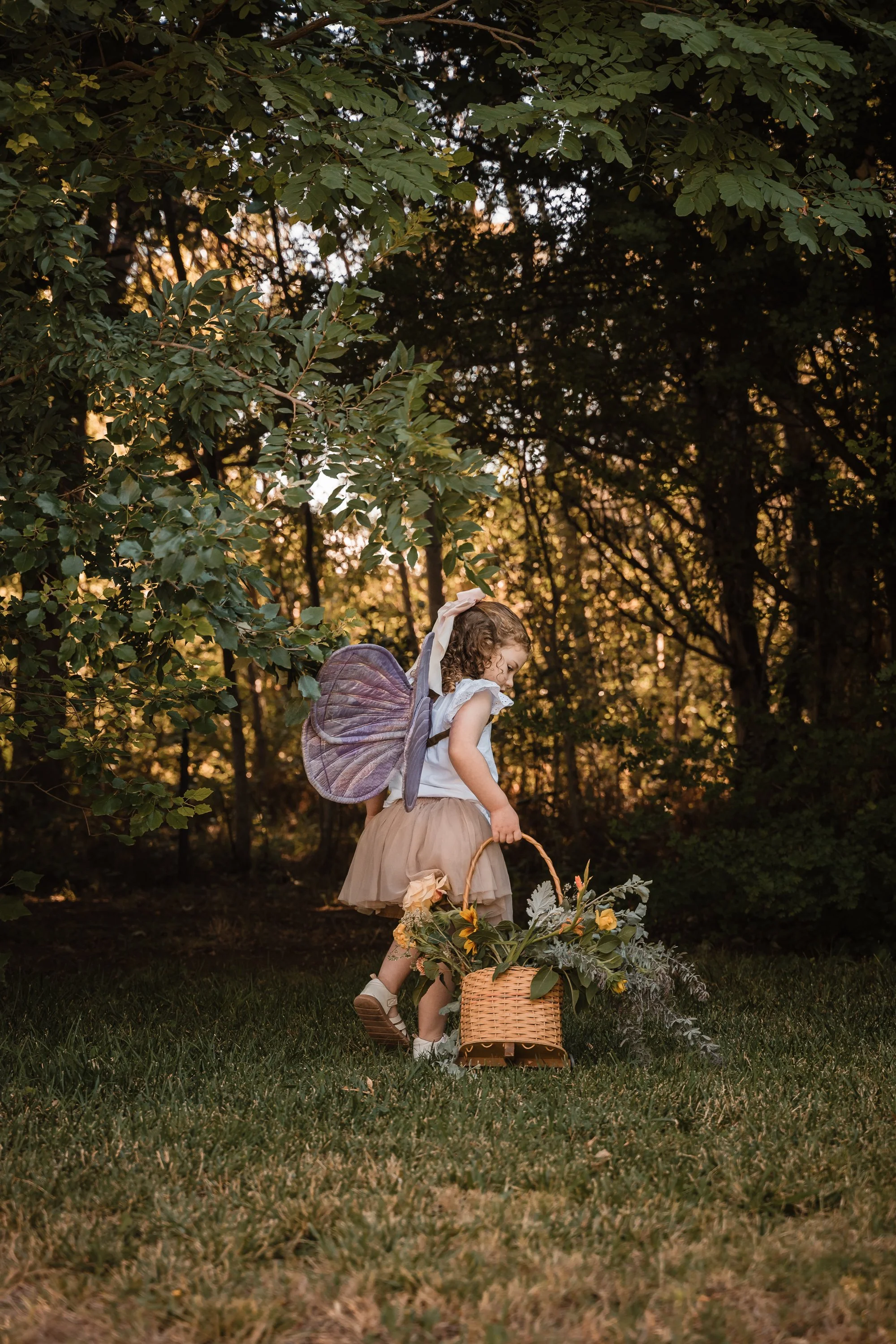 Flowers Butterfly Wings Photoshoot