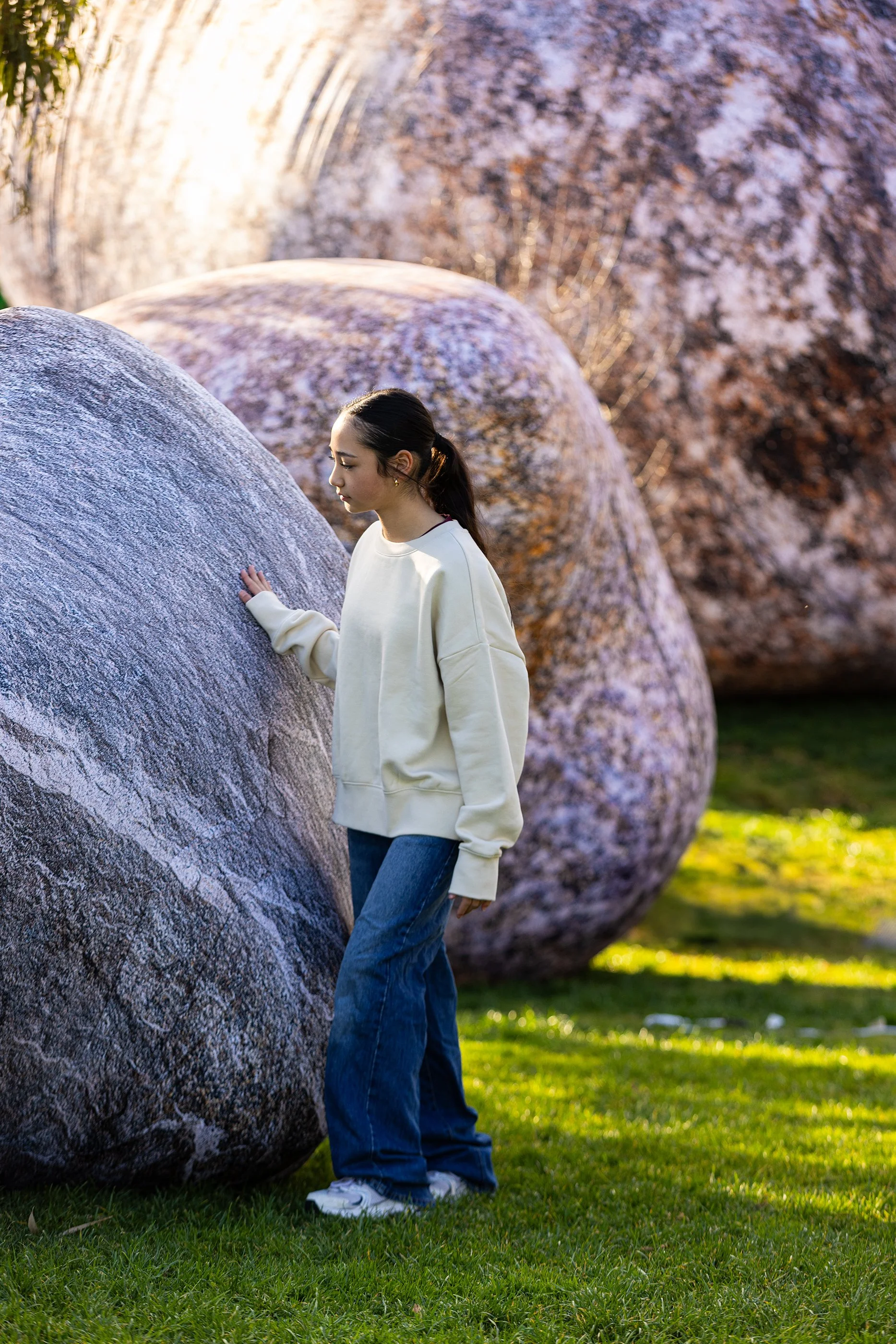 ENESS_Stonnington Iwagumi Air Scape_20A4071.jpg