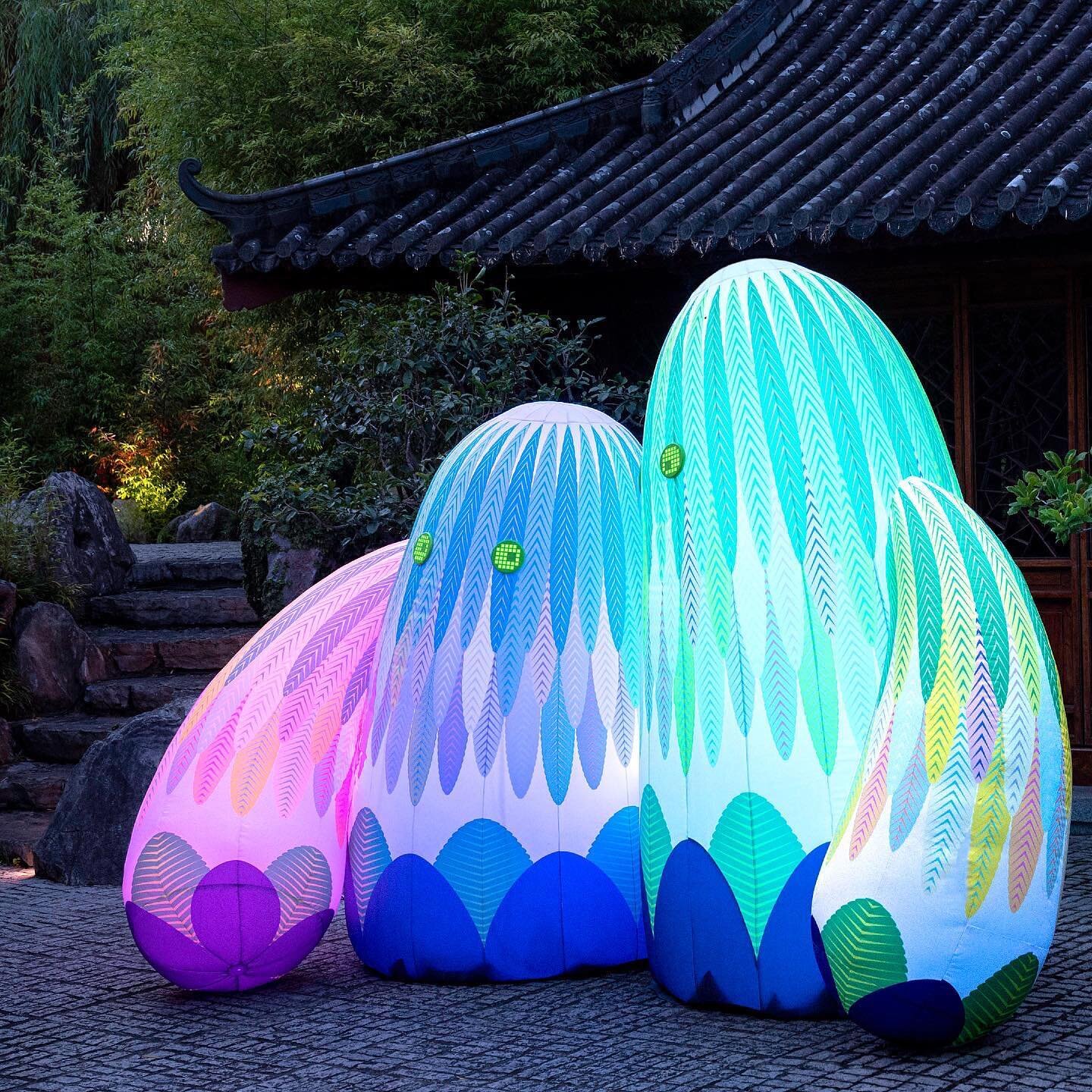 This sweet hug between inflatable friends can be viewed until 28th March at the Chinese Garden of Friendship as part of Fever's Nature Illuminated (along with three other installations by ENESS).

We affectionately call these two the Pickles. It's no