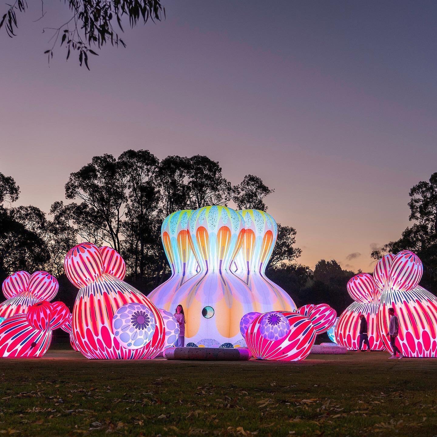 Cupid's Koi Garden, the world's first interactive, inflatable fountain has arrived as part of the @adelaidefestival !

At Keith Stepheneson's Park in Mt Barker, Cupid and his Koi are framed by a lush Australian treescape with wide open greenspace to 