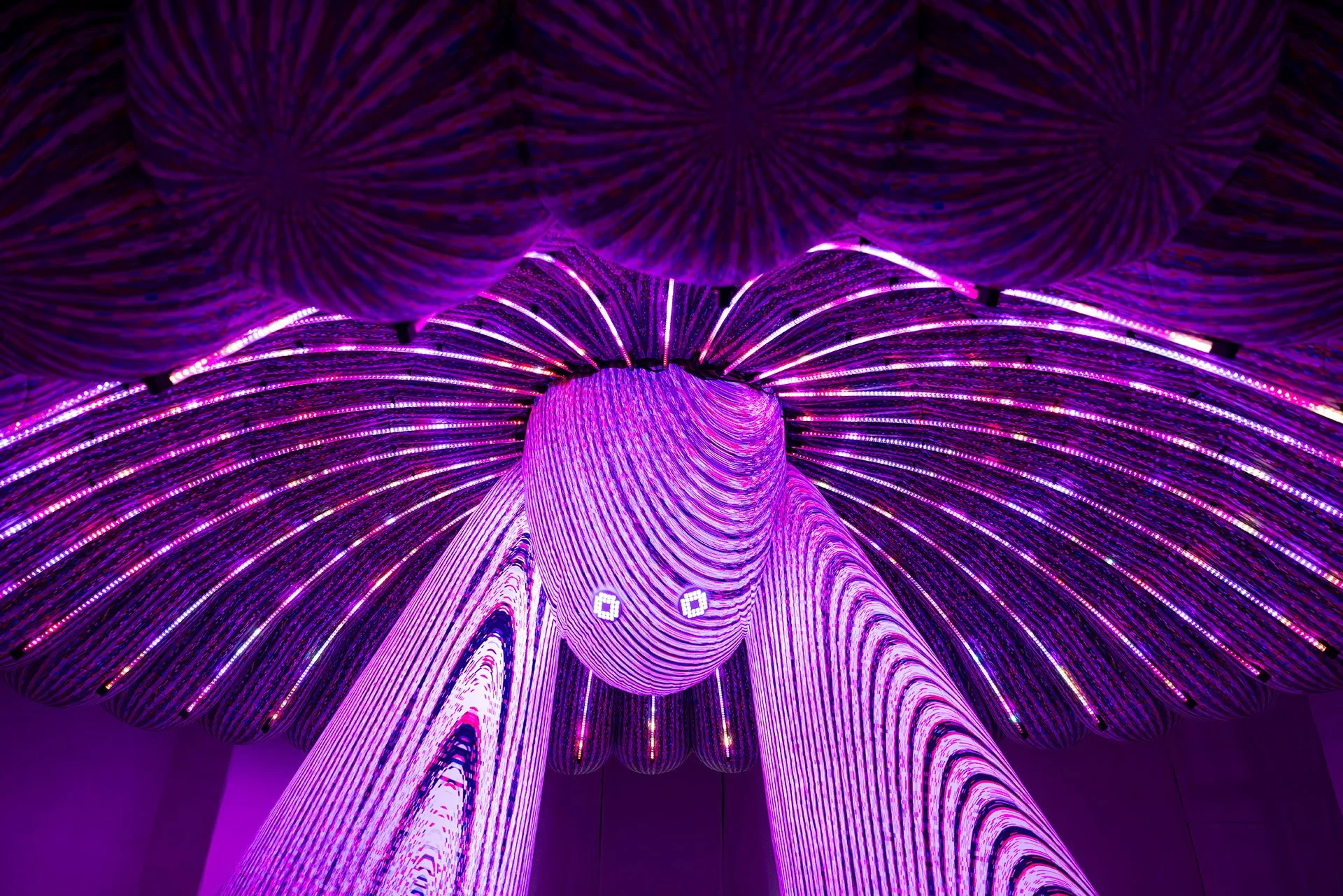 ENESS Modern Guru HD 1H4A9165.jpg