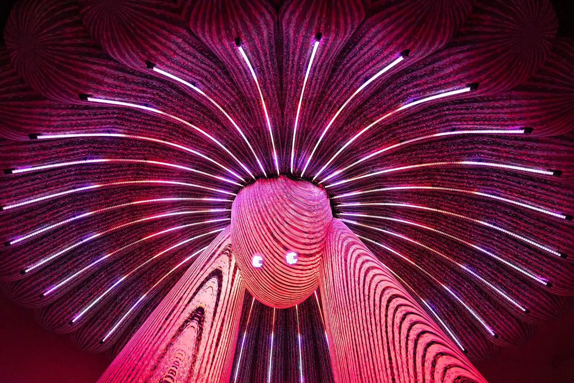 ENESS Modern Guru HD 1H4A9327.jpg