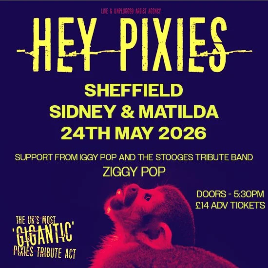 S&M Presents: Hey Pixies
