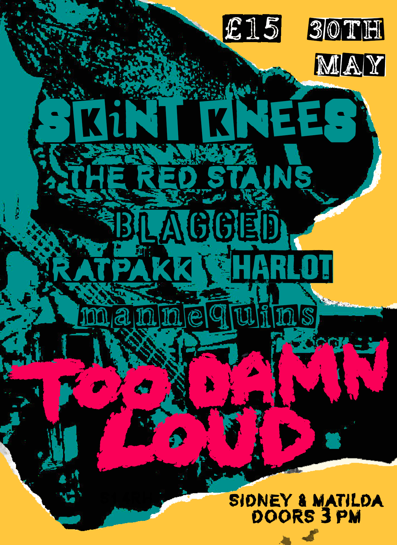 Too Damn Loud Fest