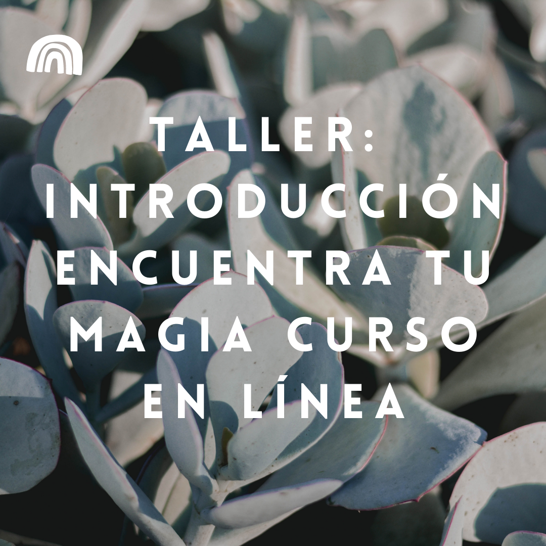 encuentra tu magia introducción