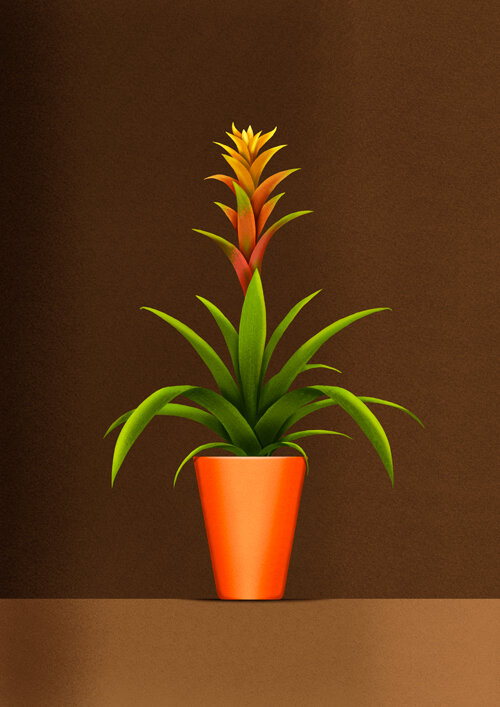 Plants_2.jpg