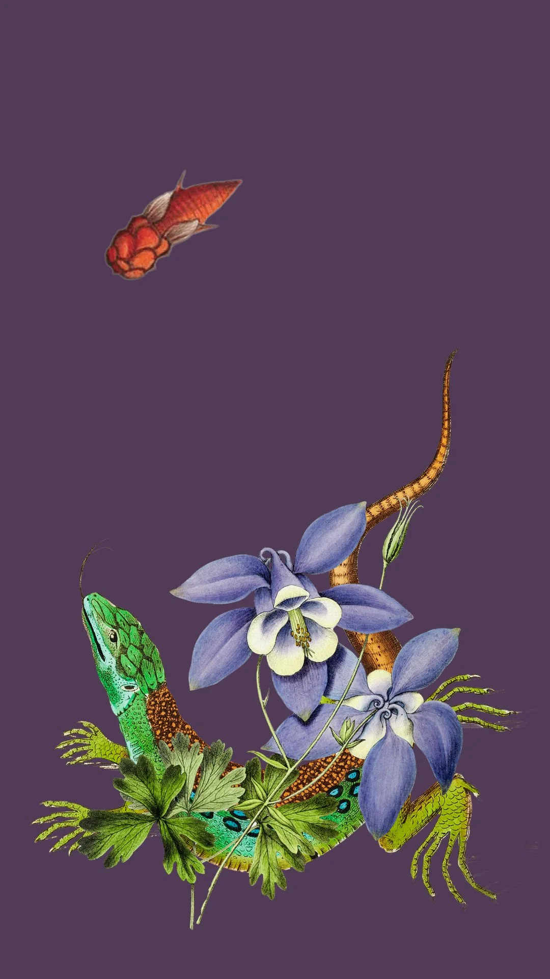 Kleurrijke illustratie van een kleurrijke hagedis met bladeren, bloemen en een vlinder op een paarse achtergrond.