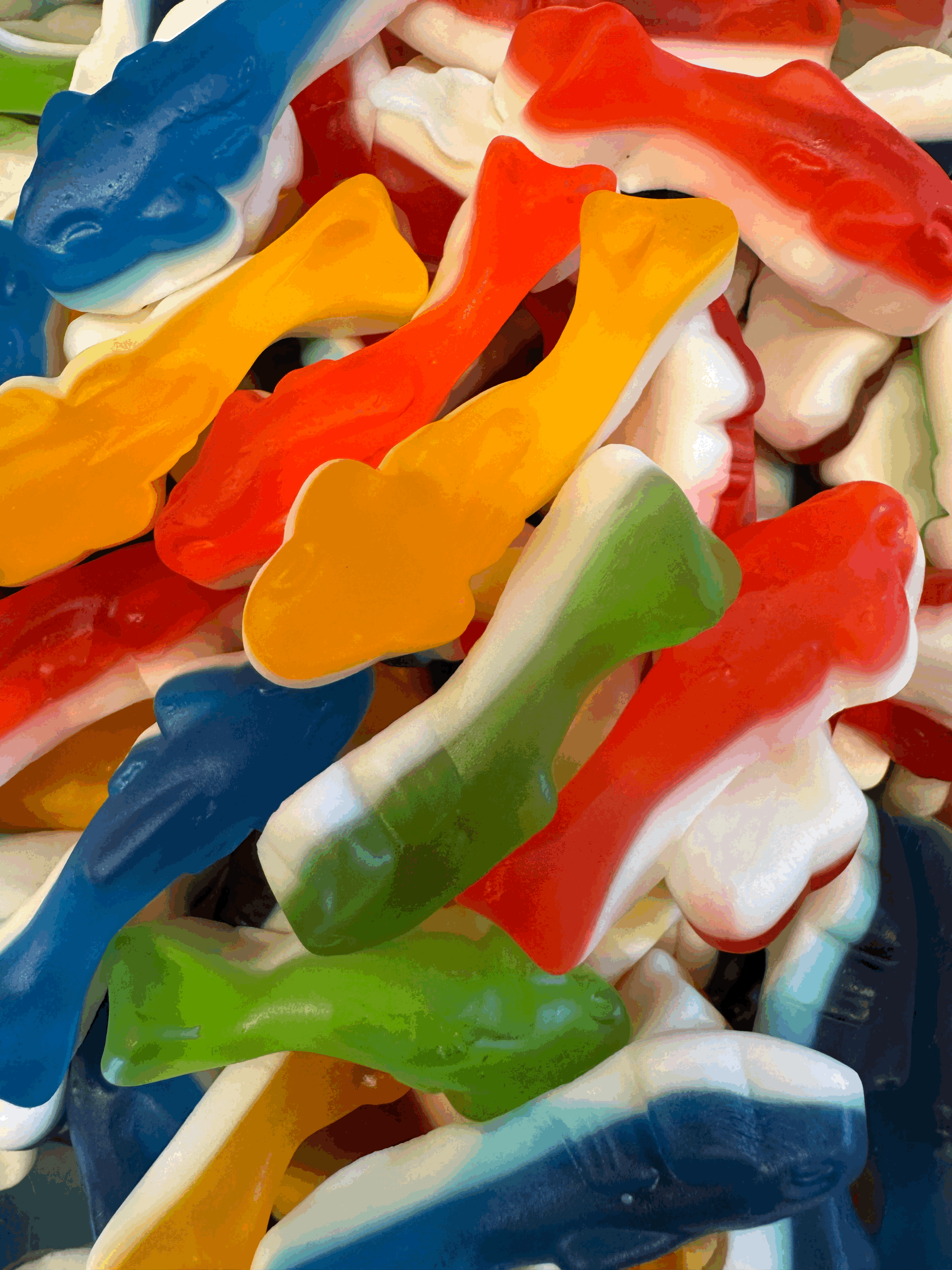 Gummy Sharks