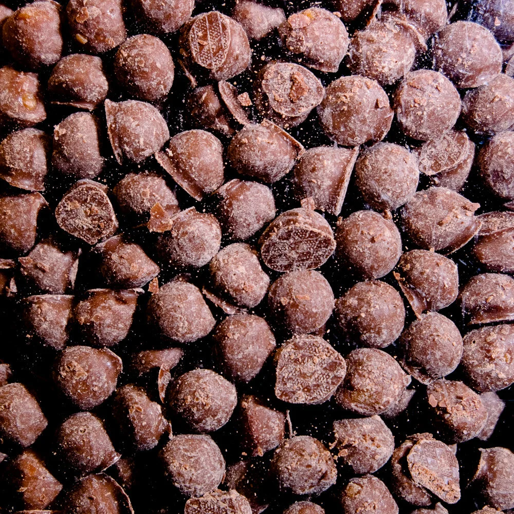 Chewing Nuts.jpg