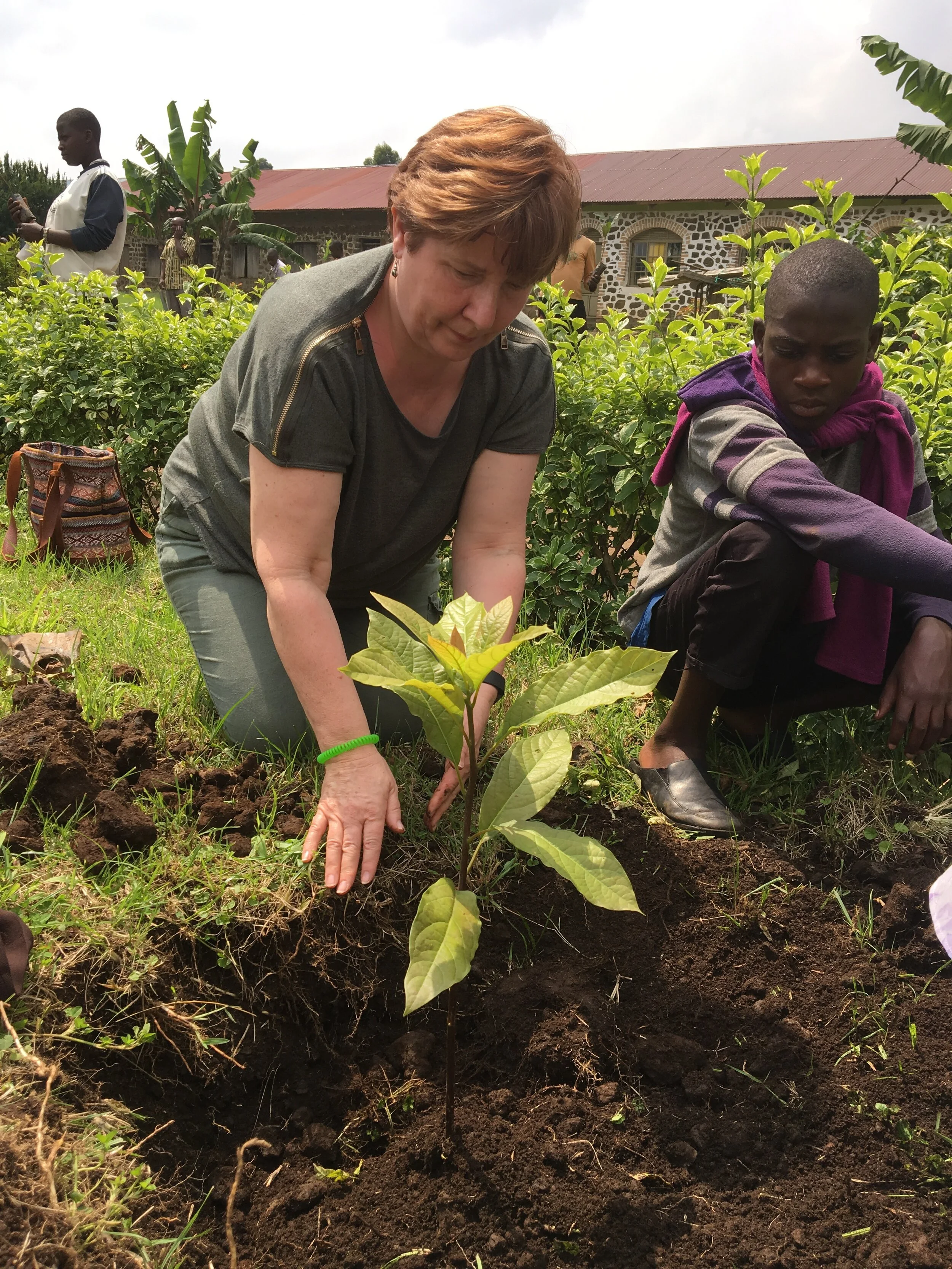 Our fundraising challenge to plant trees