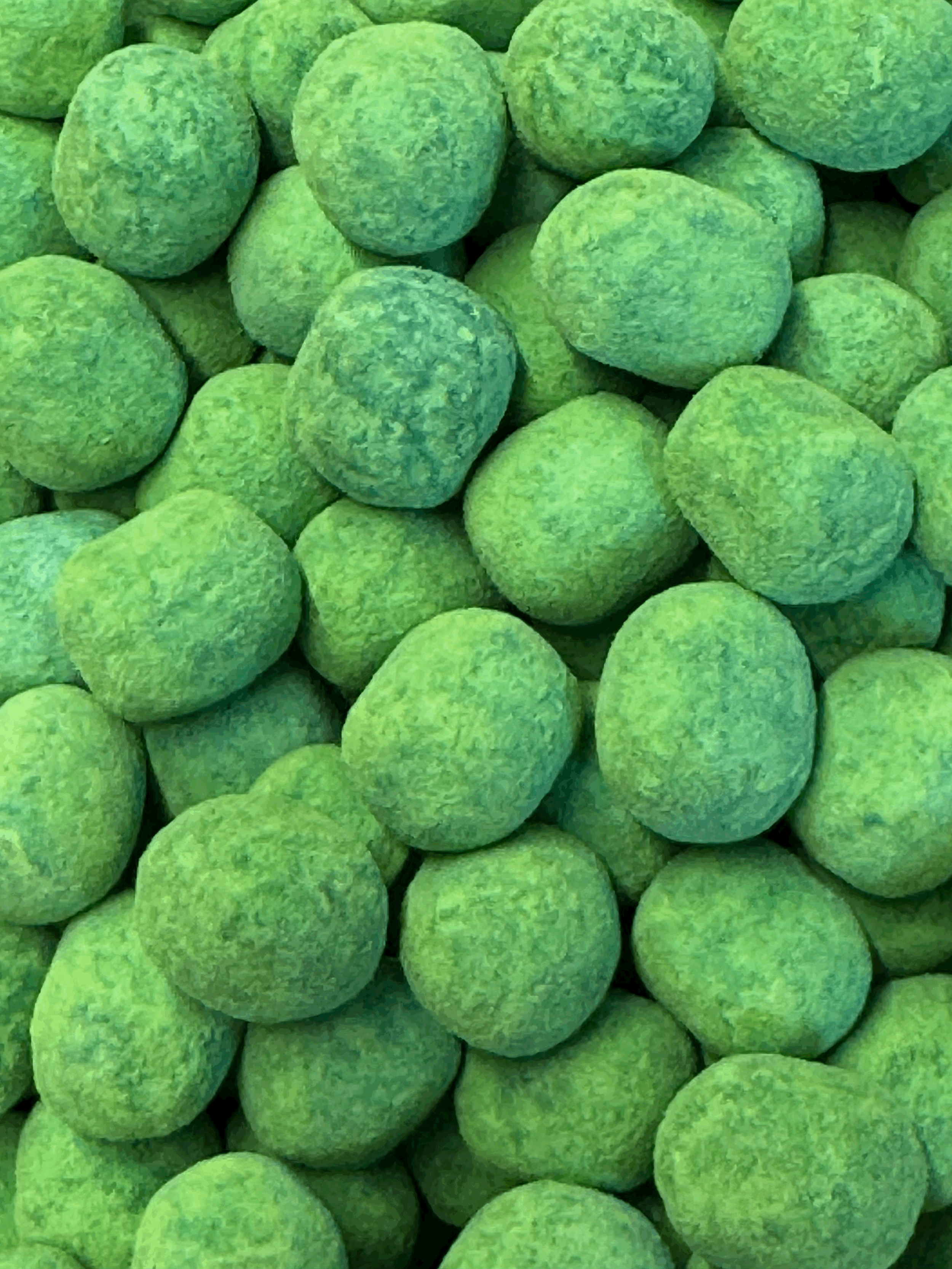 Bon Bons - Watermelon