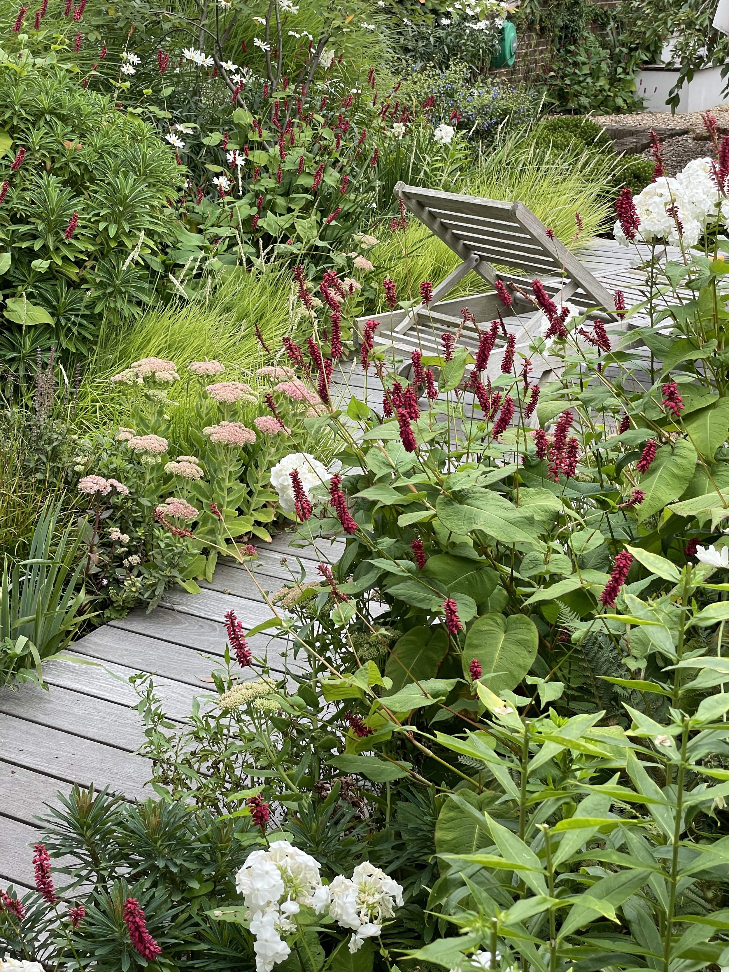 Lucy_Willcox_Garden_Design_Hard_Wood_Deck