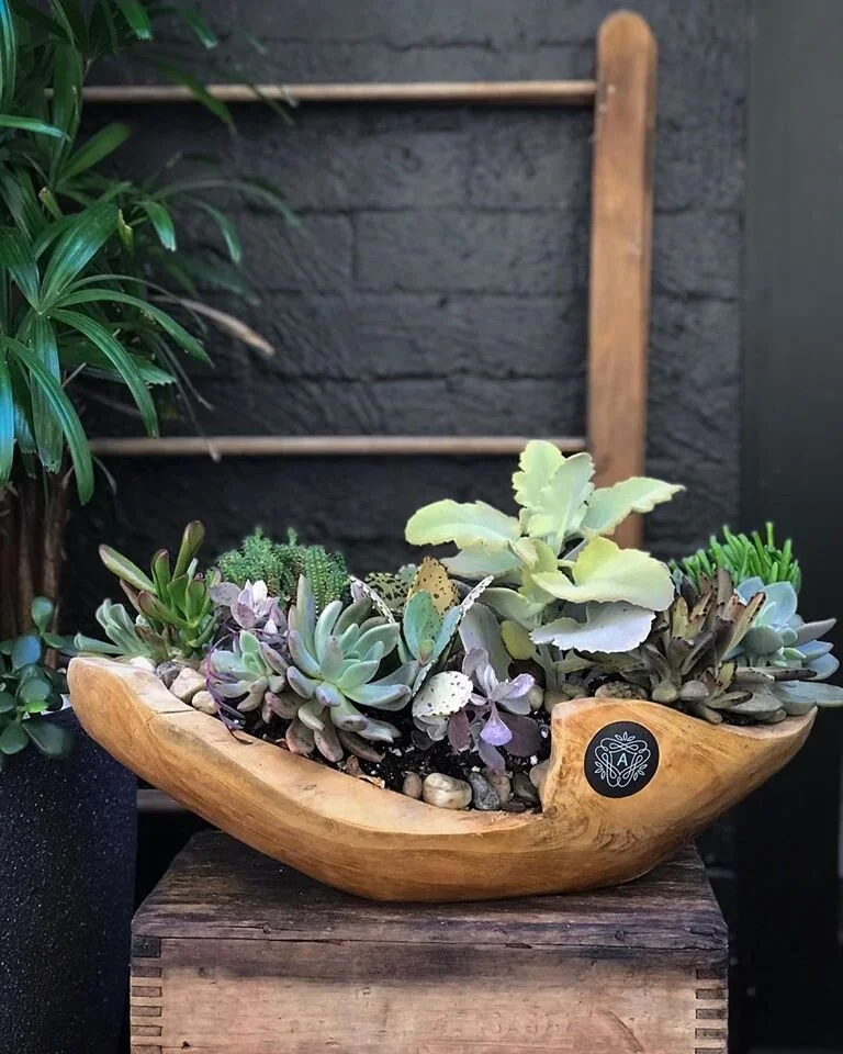 the plant artisan succulent bowl2.jpg