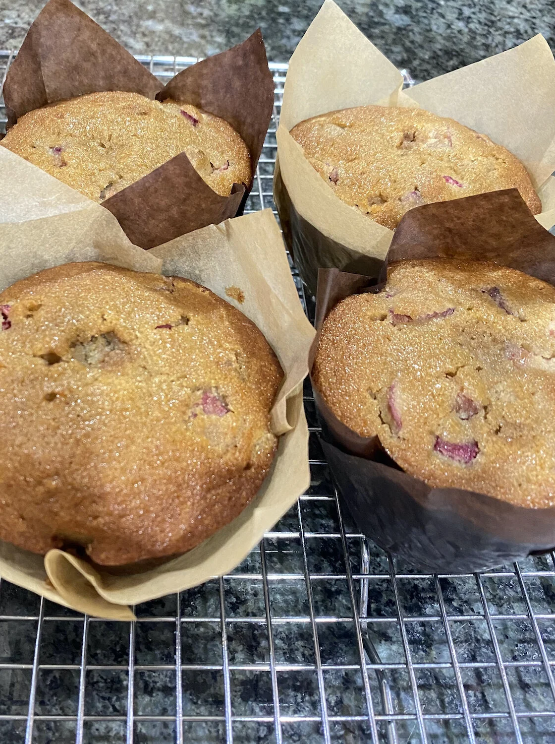 Jumbo Muffin.jpg