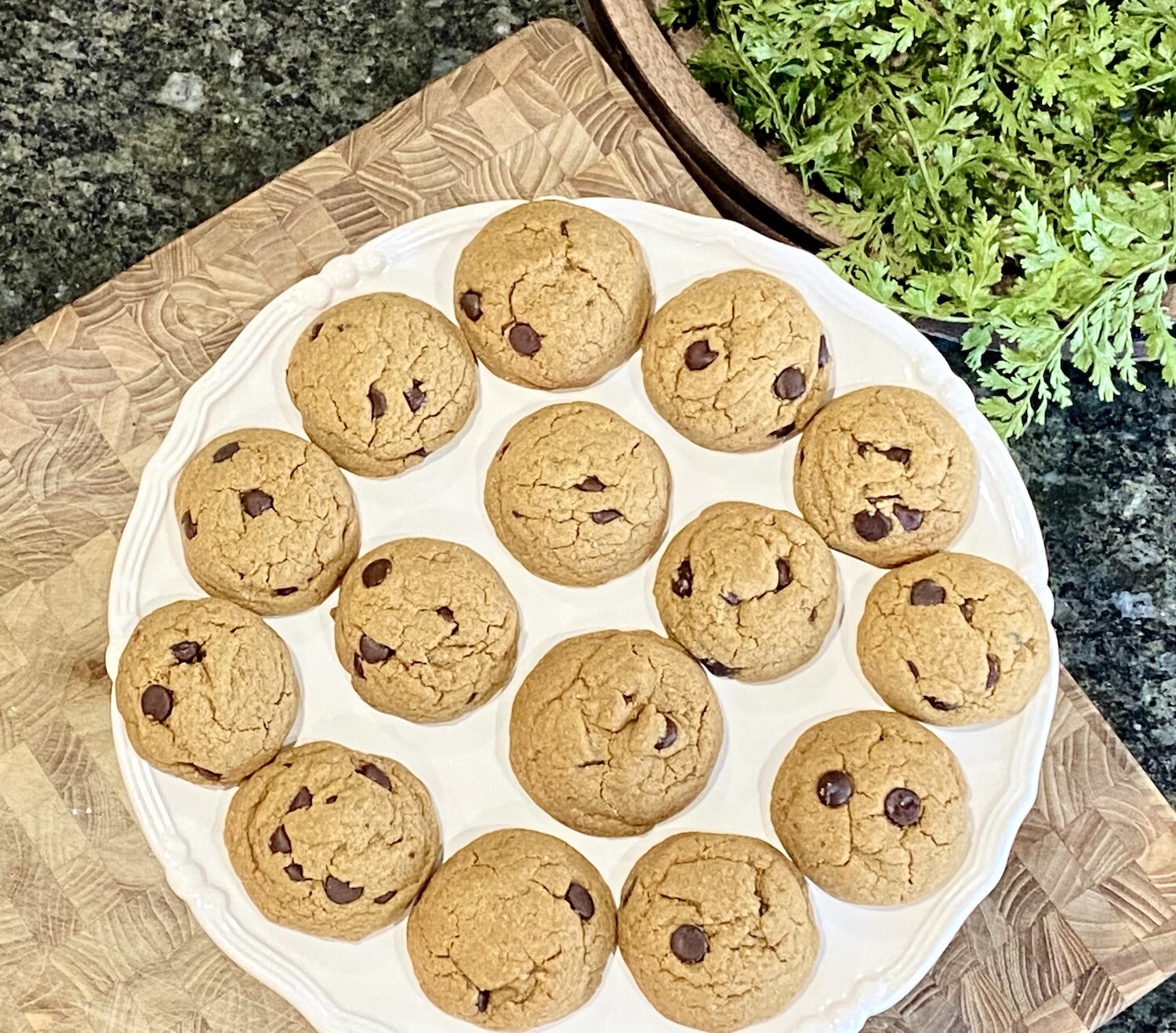 2 inch chocolate chip-2.jpg