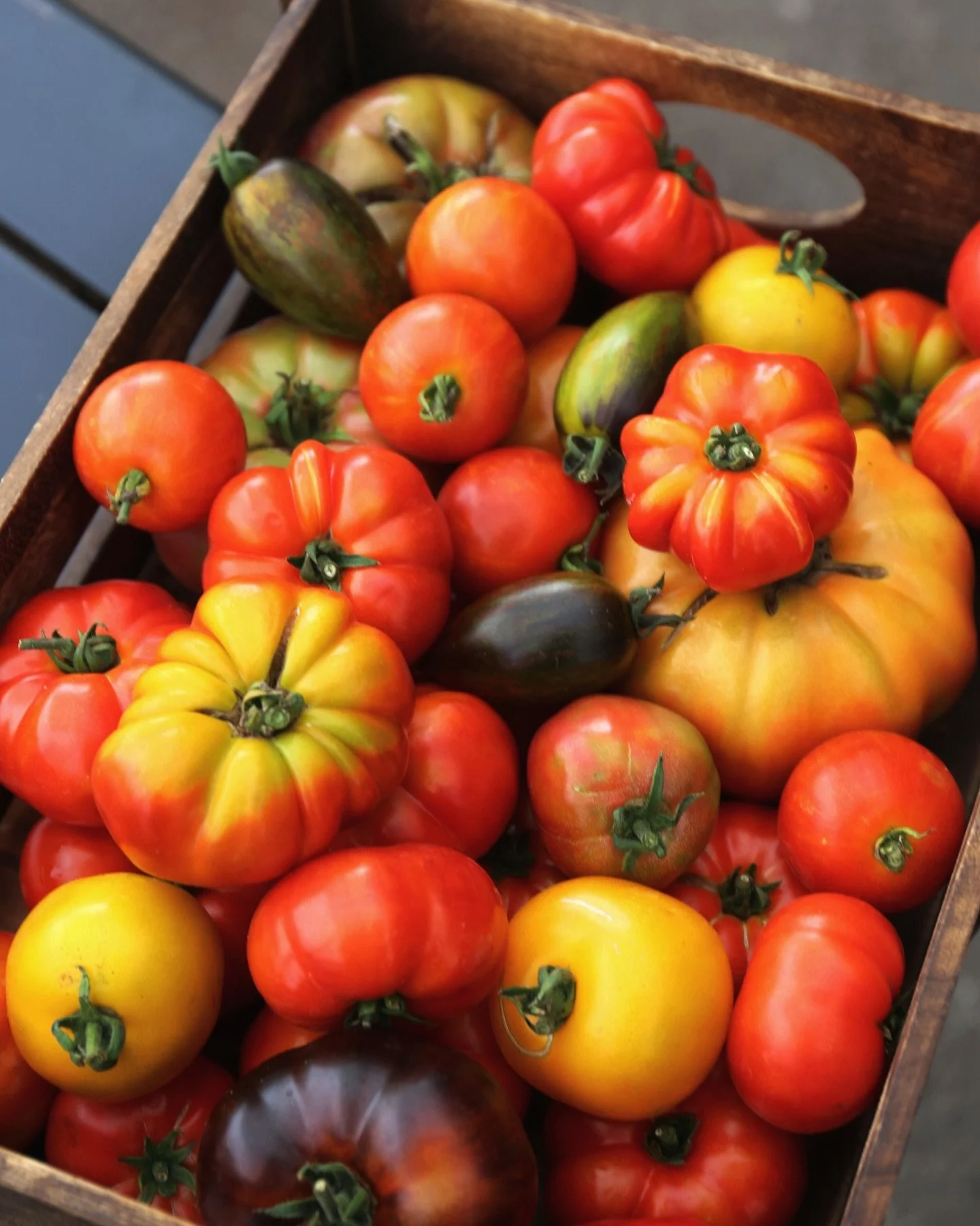 This just in! @trillfarmgarden tomatoes, looking stunning and colourful! 🍅 

#trillfarm #shoplocal #supportlocal #lovelocal #tomatoes #supportfarmers