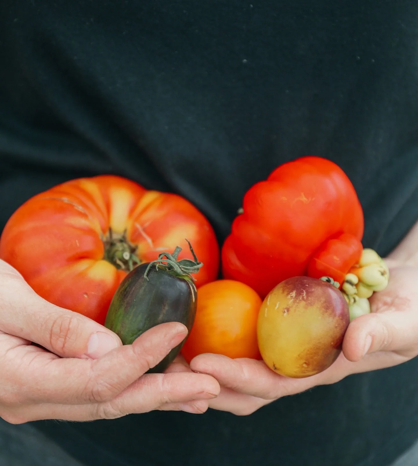 Bank holiday goodness from @trillfarmgarden 

#trillfarm #organic #local