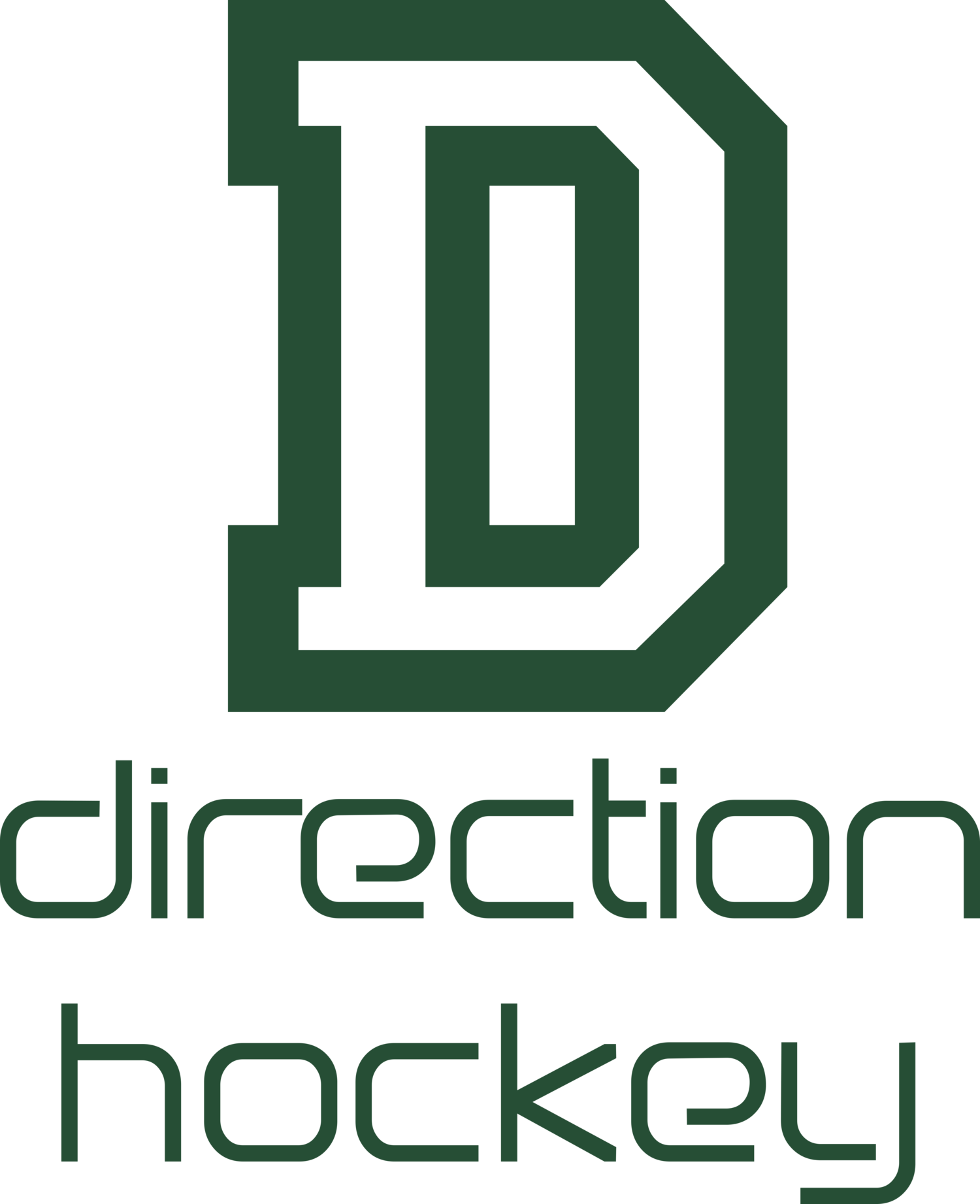 Direction Hockey