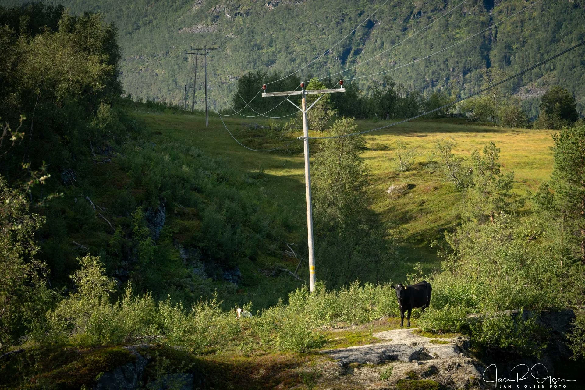 20250830_DSC2176©Jan R Olsen Foto.jpg