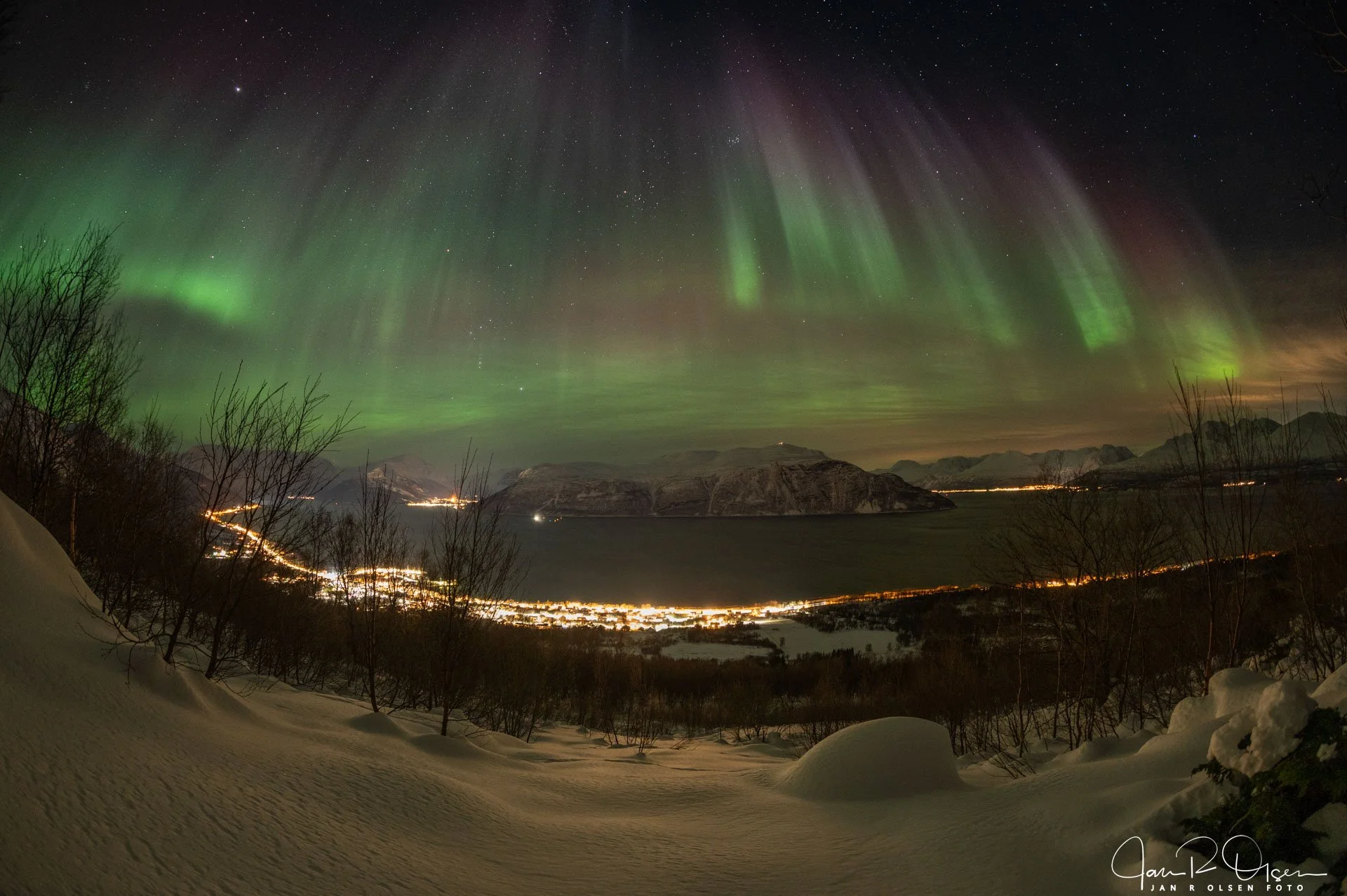 20251212_JRO9582©Jan R Olsen Foto.jpg