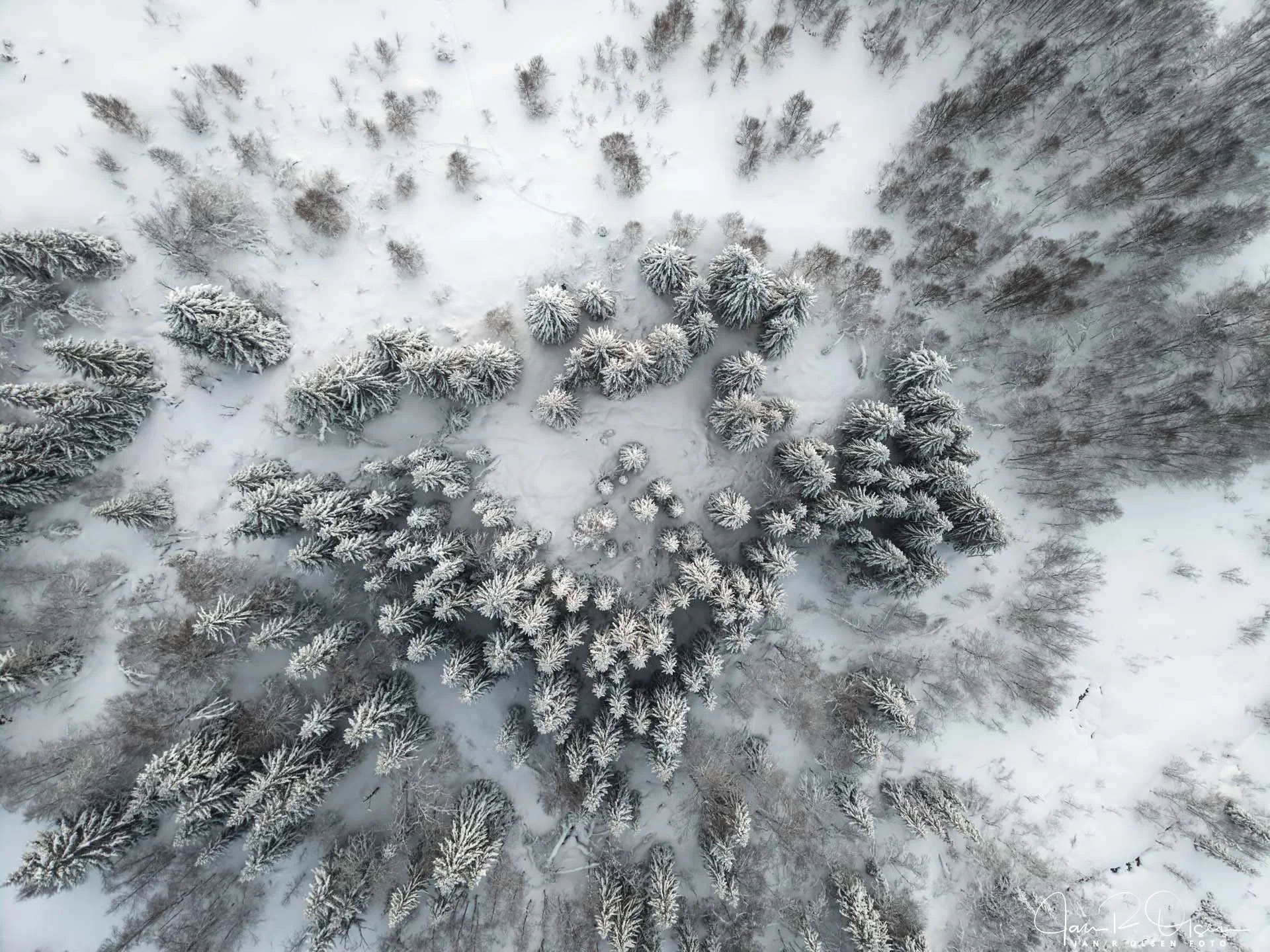 20251231DJI_20251231110917_0113_D©Jan R Olsen Foto.jpg
