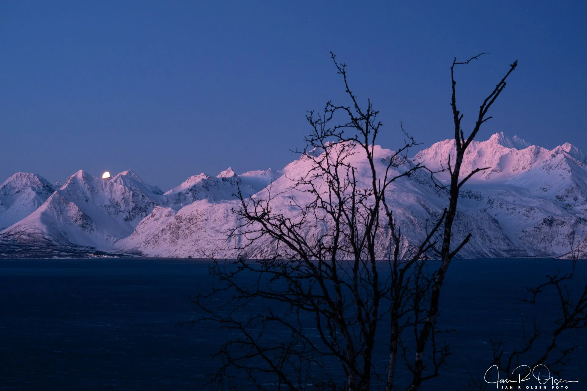 20260109_DSC0954©Jan R Olsen Foto.jpg