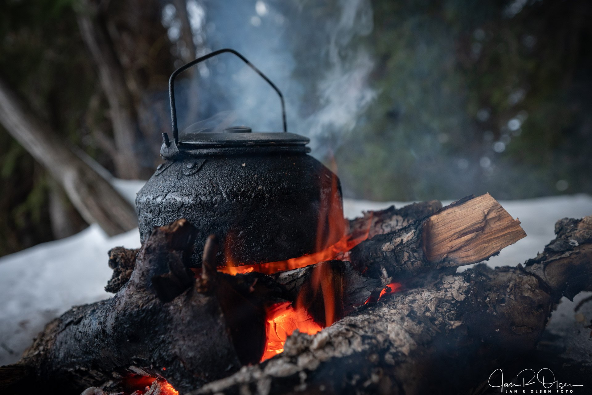 20260208_DSC7514©Jan R Olsen Foto.jpg