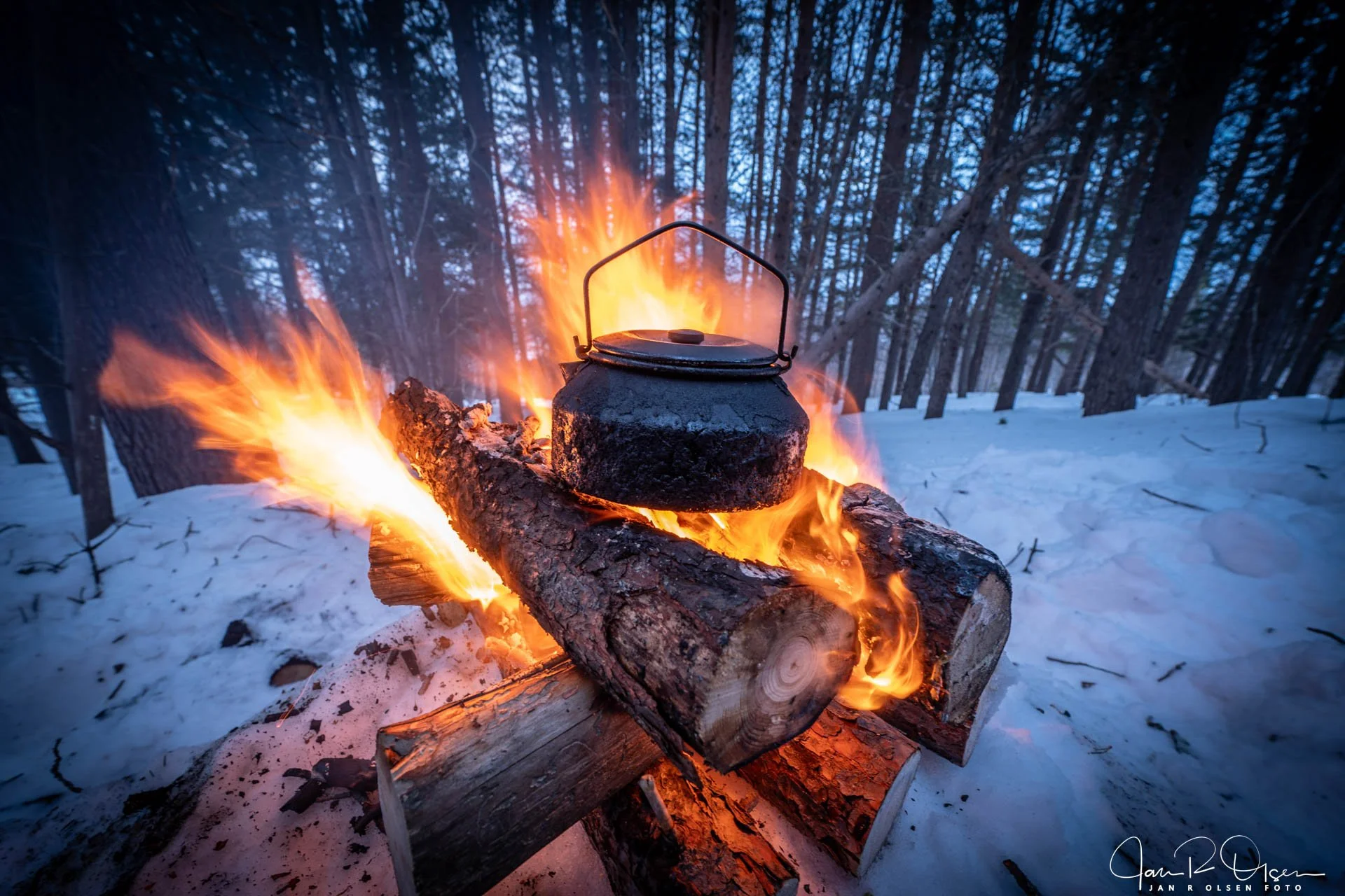 20260228_DSC1193©Jan R Olsen Foto.jpg