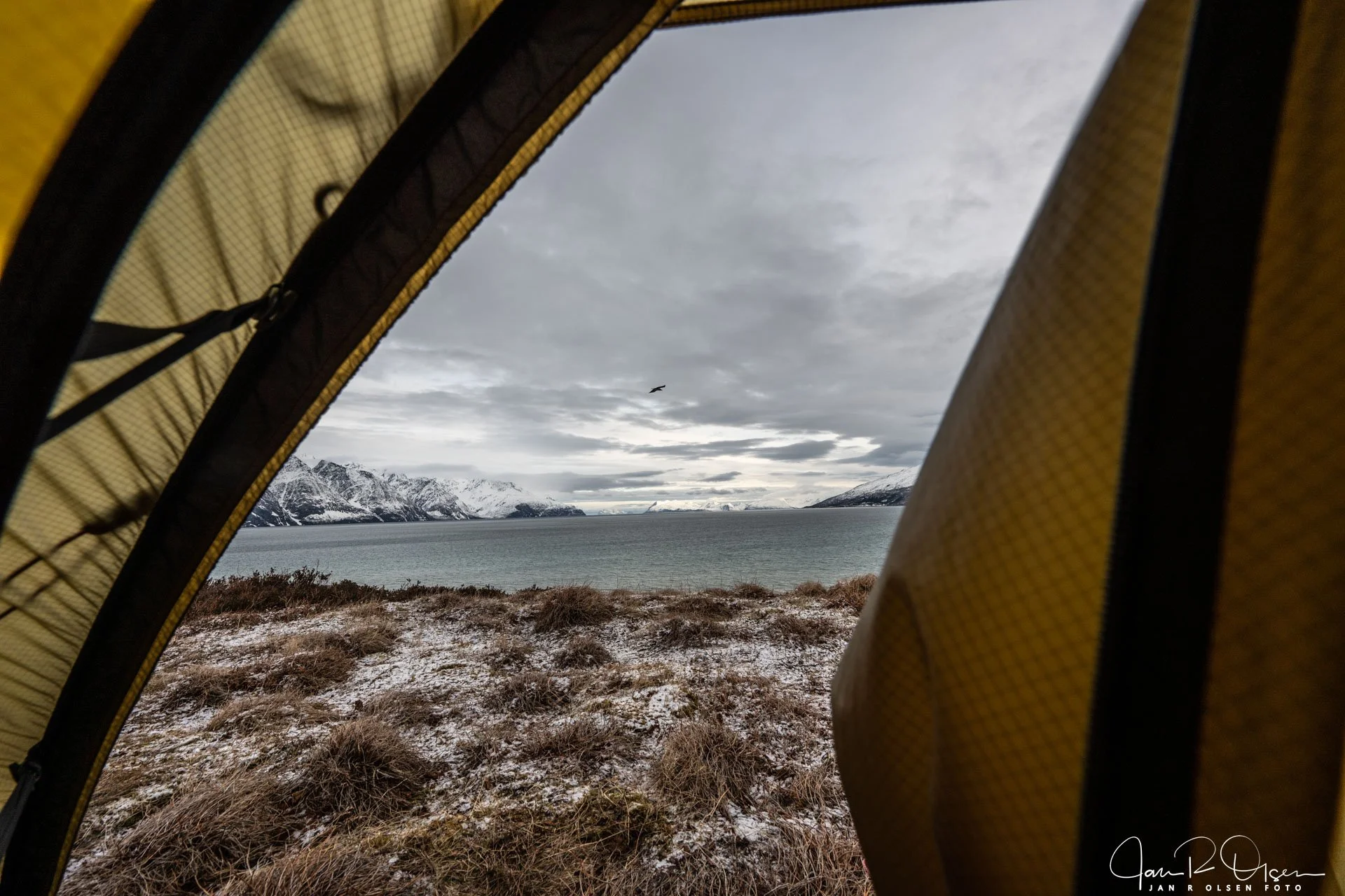 20260326_DSC3838©Jan R Olsen Foto.jpg