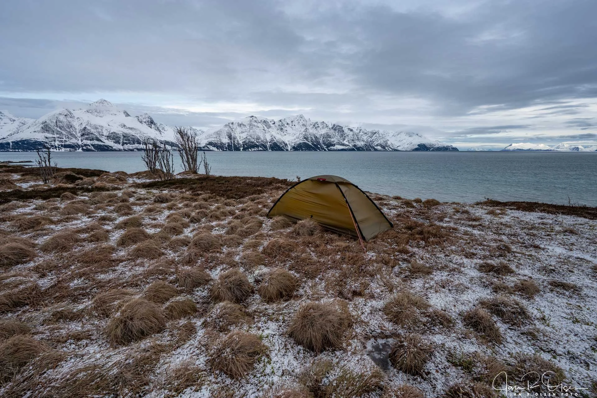 20260326_DSC3840©Jan R Olsen Foto.jpg