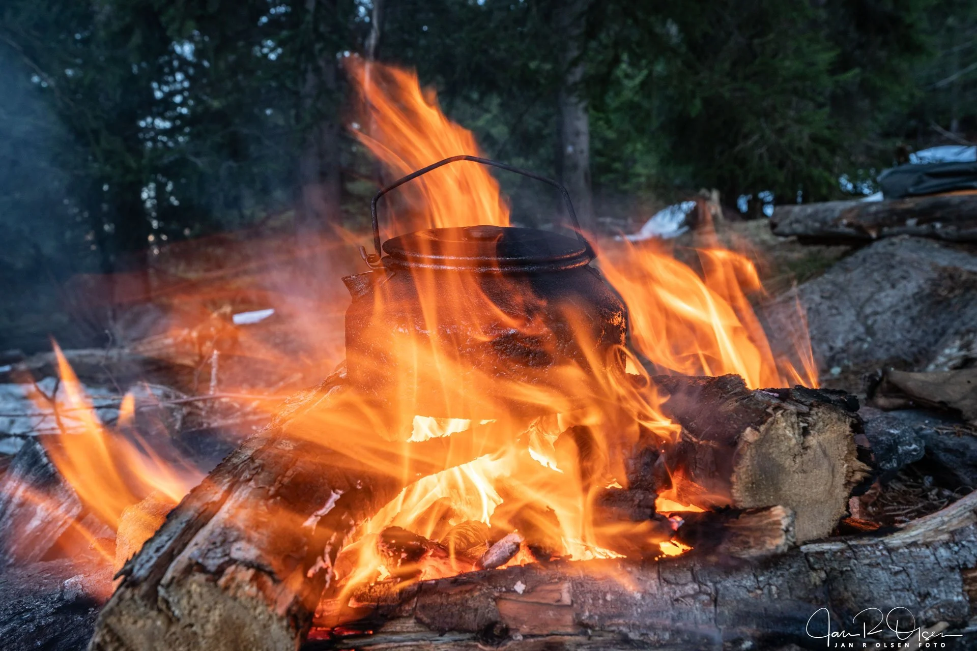 20260404_DSC3848©Jan R Olsen Foto.jpg