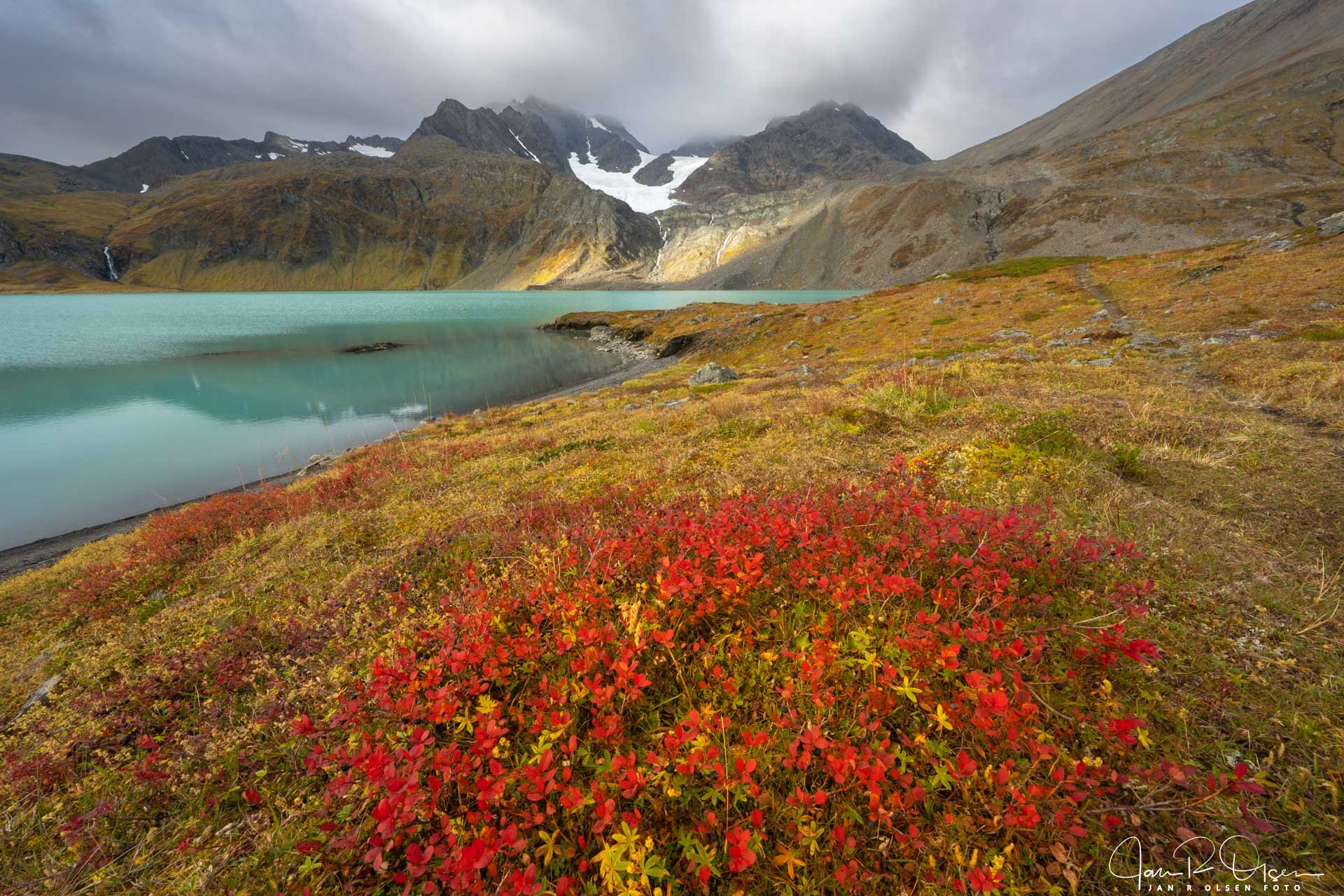 20260920_DSC7978©Jan R Olsen Foto.jpg