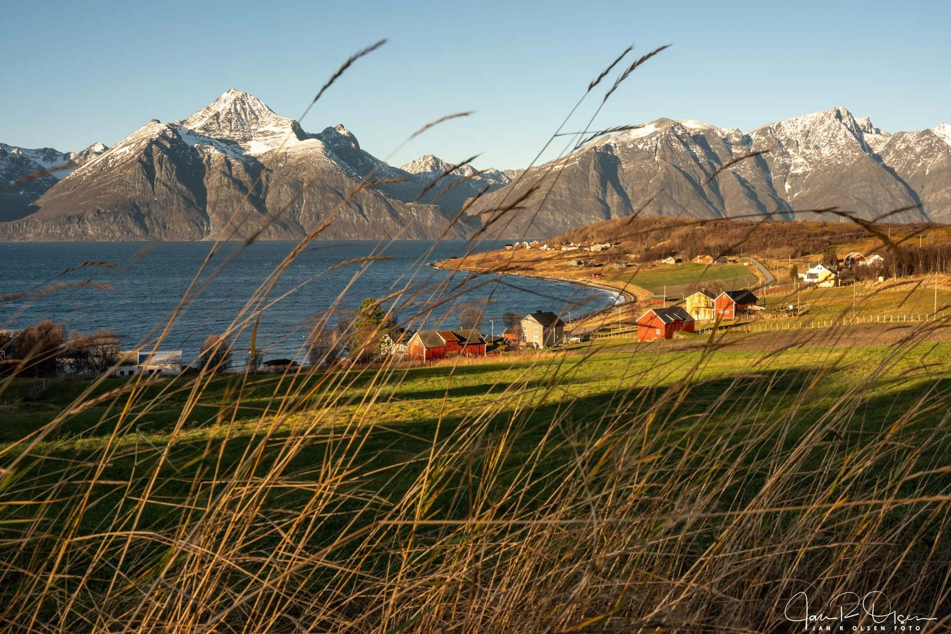 20261021_DSC0782©Jan R Olsen Foto.jpg