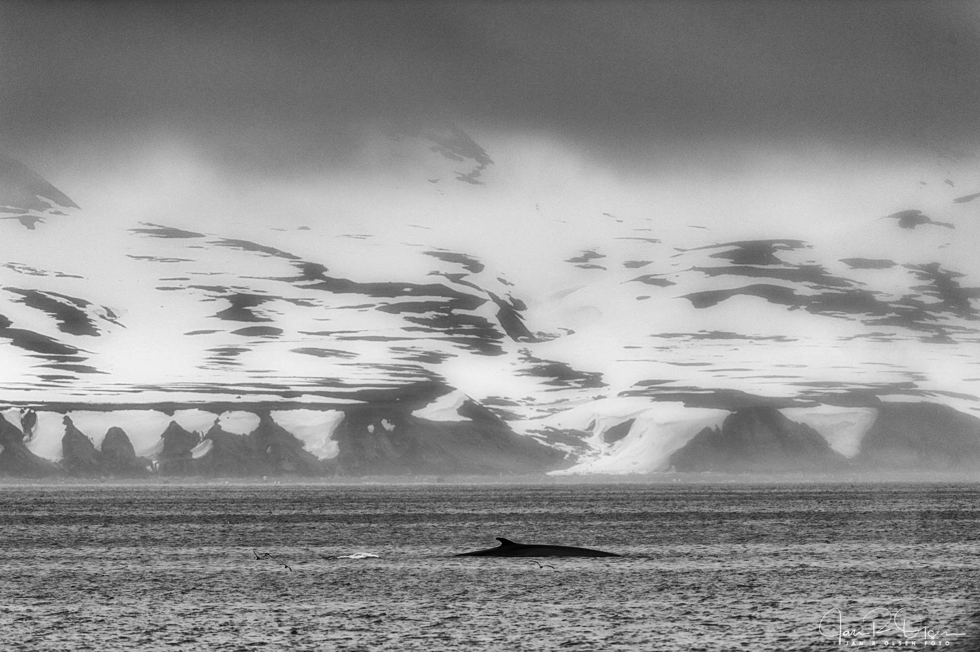 Svalbard.