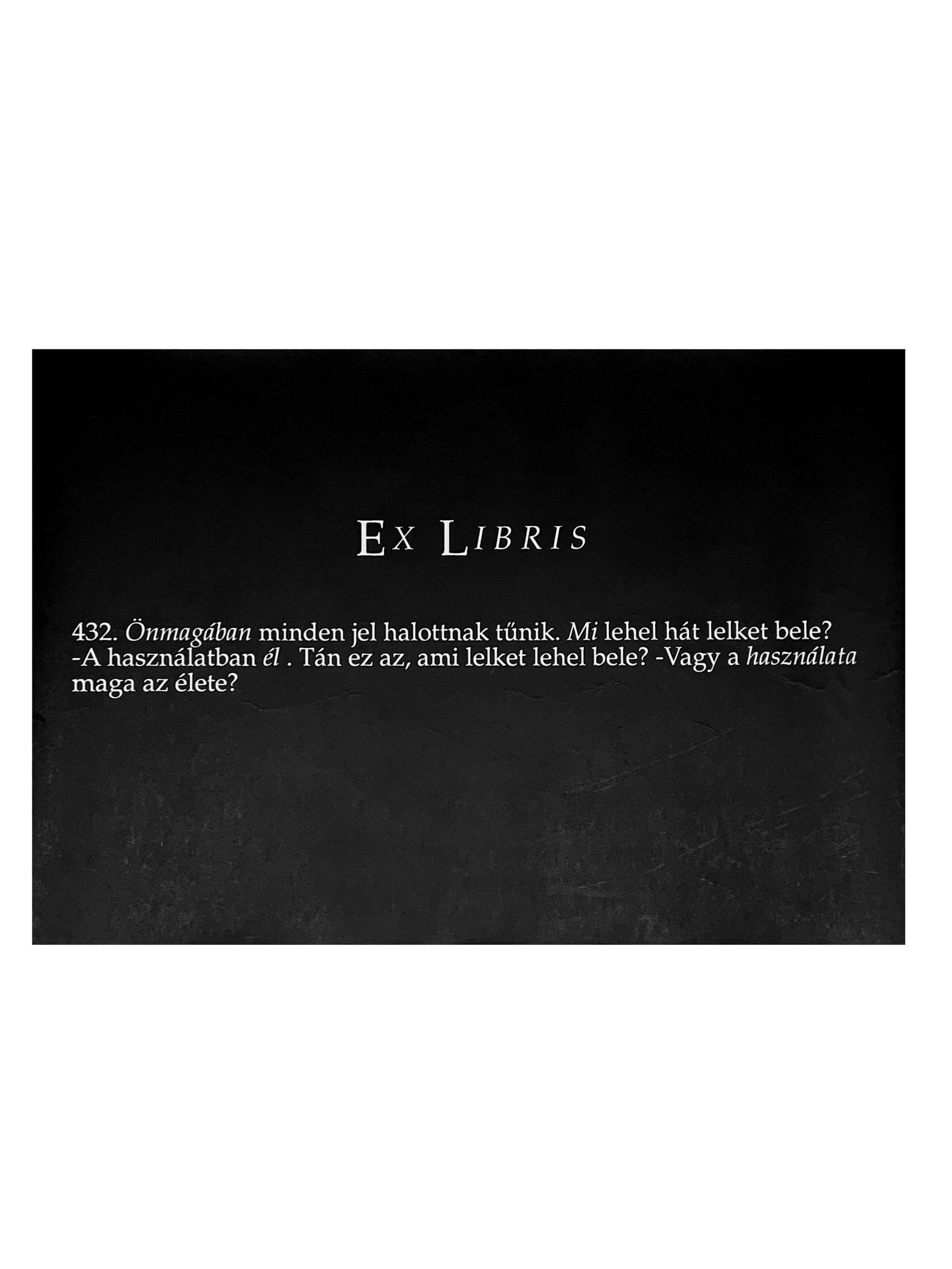kosuth 3.jpg