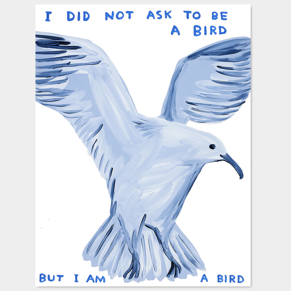 David Shrigley - I Did Not Ask To Be a Bird (2021) 60 x 80 cm
Off-set lithography
Printed on 200g Munken Lynx paper
Narayana Press in Denmark