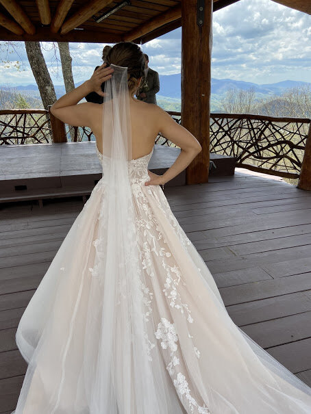 Wedding dress back pic.jpg
